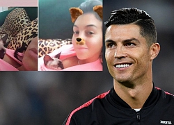 Bạn gái Ronaldo cho mèo nằm ôm trọn bầu ngực