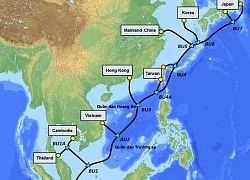 Cáp quang biển vì sao liên tục gặp sự cố?