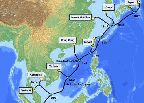 Cáp quang biển vì sao liên tục gặp sự cố?