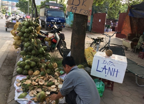 Dân buôn dừa giải khát tại Hà Nội "hái ra tiền" những ngày nắng nóng