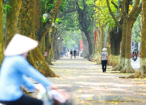 Hà Nội đẹp nao lòng mùa lá rụng