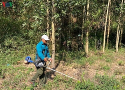 Nắng hạn, rừng ở MDrak-Đắk Lắk có nguy cơ cháy cao