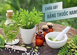 Bật mí phương pháp chữa bệnh gout bằng dân gian hiệu quả