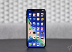 Đây là lí do tất cả người dùng iPhone nên cập nhật iOS 13.5 ngay và luôn