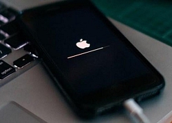 FBI truy cập thành công dữ liệu iPhone của hung thủ vụ xả súng ở Mỹ