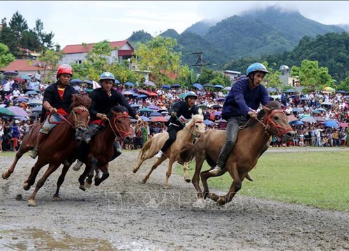 Giải đua ngựa truyền thống Bắc Hà - lễ hội thể thao, văn hóa đặc sắc vùng Tây Bắc