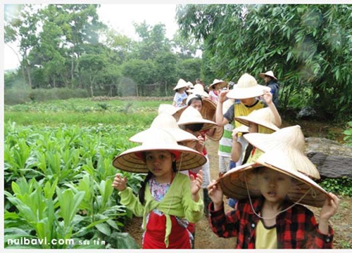 Hà Nội - đất trăm nghề "se duyên" nông nghiệp với du lịch sinh thái