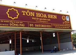 Hơn 21 triệu cổ phiếu Hoa Sen trả cổ tức giao dịch từ ngày 27/5