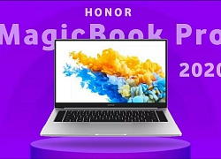 Honor MagicBook Pro 2020 ra mắt: màn 16,1 inch, chip Intel gen 10, giá từ 773 USD