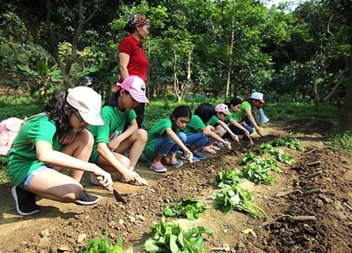 Một góc "à Lạt xanh" ở ngoại thành Hà Nội