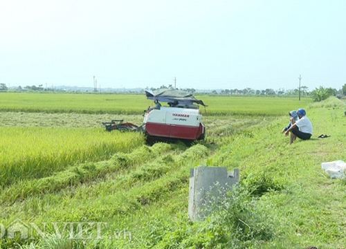 Sau bài chủ máy gặt phải nộp 2,5 triệu đồng cho hợp tác xã: Chỉ thu 1 triệu đồng tiền đặt cọc