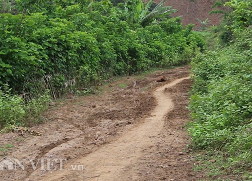 Sơn La: Dân lòng hồ "dài cổ" ngóng chờ con đường cứng hóa