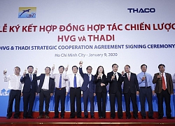 Thuỷ sản Hùng Vương (HVG): Cùng THADI lập công ty heo giống và thức ăn chăn nuôi vốn điều lệ 556 tỷ đồng