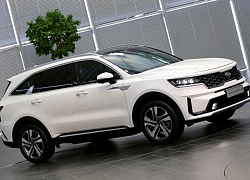 Top 10 xe 7 chỗ tốt nhất dành cho gia đình: Gọi tên Kia Sorento, Peugeot 5008