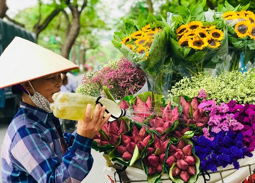 Bỏ tiền thật nhưng mua phải hoa sen giả, khách hàng tự rước cục tức vào mình