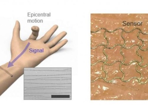 Cảm biến da điện tử có thể nắm bắt các chuyển động phức tạp của con người