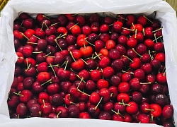 Cherry Mỹ hết thời rẻ mạt, giá bị "thổi" cao gấp 5 lần