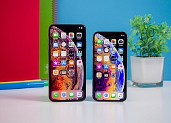 Đâu là chiếc iPhone đáng mua nhất năm 2020?