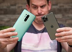 Đọ sức mạnh camera giữa iPhone 11 Pro và OnePlus 8 Pro