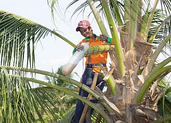 Những người trẻ lội ngược dòng ở miền Tây - Kỳ 1: Mật ngọt của thạc sĩ Chal Thi