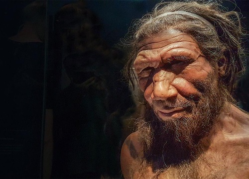 Siêu máy tính tìm ra nguyên nhân tuyệt chủng của người Neanderthal