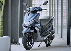 Ngắm Yamaha FreeGo 2020 vừa ra mắt thị trường Việt, giá từ 32,99 triệu