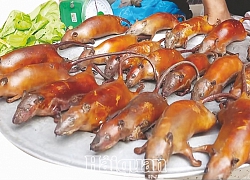 Về Canh Nậu thưởng thức món "Ngựa phi trên sàng"