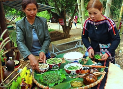 Độc lạ món kiến vàng dành cho khách quý