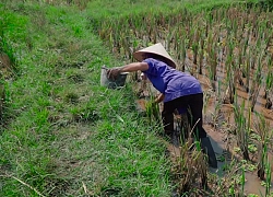 Bà Tân và Hưng Vlog từ một kênh nổi tiếng với những món "siêu to khổng lồ" ngày càng sa sút có khi thành nơi hứng "gạch đá" đủ để... xây nhà