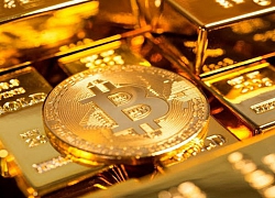 Bitcoin thoái lui, thị trường 'nhuốm máu'