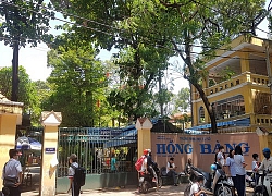 Cây đổ đè chết học sinh: Hiểm nguy về cây xanh trong trường học