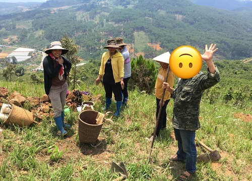 Điểm săn mây nổi tiếng ở Đà Lạt "tan hoang" vì tình trạng xả rác bừa bãi, chủ nhân ngọn đồi bức xúc lên tiếng: "Làm ơn đừng xâm phạm đất nhà mình nữa"