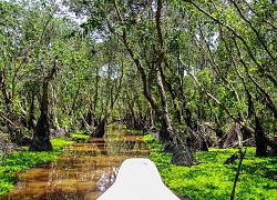 Cực Nam Đất Mũi mờ xa