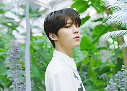 Đâu chỉ có fan, cựu thành viên X1 Wooseok cũng 'lọt hố' visual vạn người mê của nam thần này nhà BTS