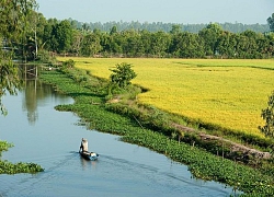 Hành trình khám phá nông thôn Việt Nam với 5 địa điểm nổi tiếng