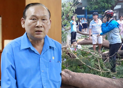 Hiệu trưởng trường THCS Bạch Đằng: "Cây đổ trong trường là trách nhiệm của tôi"