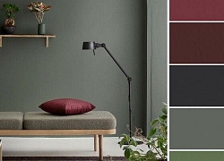 Khỏi cần đau đầu nghĩ cách phối màu decor nhà, đây là 9 kiểu phối màu hoàn hảo cho ngôi nhà của bạn