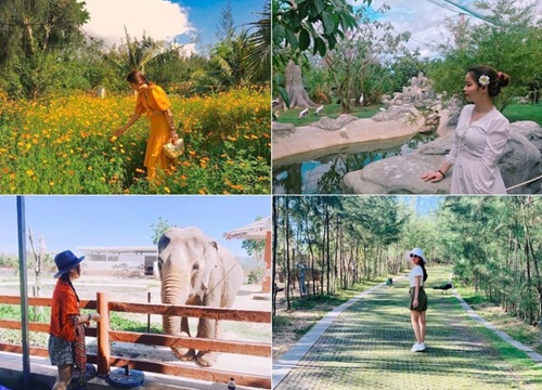 FLC Zoo Safari Park Quy Nhơn - điểm đến không thể bỏ lỡ