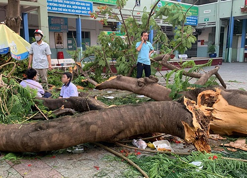 Phải làm gì để tránh gặp nạn khi đi học mùa mưa?