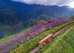 Quá nhiều lý do để hội &#8220;nghiện núi, yêu rừng, mê thiên nhiên&#8221; nhất định phải đến đây trong mùa hè này