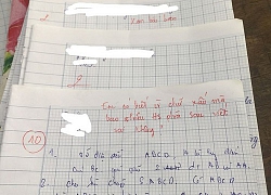 Chép bài của nam sinh điểm 10, cả nhóm nhận trái đắng vì lý do này