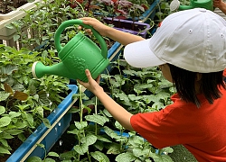 Dạy kỹ năng sống cho con: Bố mẹ bận rộn đến đâu cũng đừng bao giờ lơ là kẻo lớn lên con phải chịu thua thiệt với bạn bè