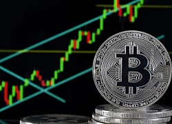 Giá bitcoin hôm nay 1/6: Quay đầu giảm nhẹ, hiện ở mức 9.544,18 USD