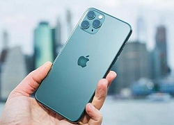 Hàng loạt iPhone 7 Plus, iPhone 8 Plus, iPhone 11 Pro giảm giá