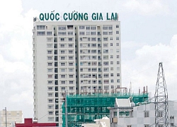 Lộ diện đại gia chi hơn 121 tỷ mua 35% vốn Bất động sản Sông Mã từ Quốc Cường Gia Lai