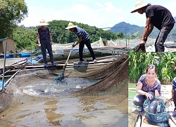 Nuôi nhốt toàn cá đặc sản quý hiếm, xưa ví như "thủy quái dòng sông" mà dân ở đây đổi đời