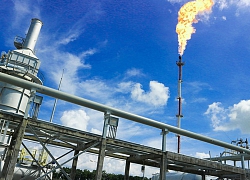 PV GAS lọt Top 50 công ty niêm yết tốt nhất Việt Nam năm 2020