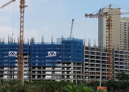 Xuân Mai Corp (XMC): Kế hoạch lợi nhuận năm 2020 tăng trưởng 20% lên 196 tỷ đồng