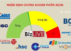 Nhận định chứng khoán 30/6: Không loại trừ có phục hồi kỹ thuật