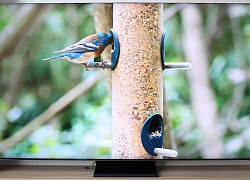 Ảnh thực tế TV QLED 8K có giá từ 100 triệu đồng